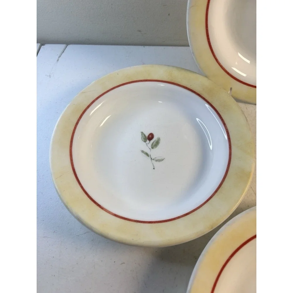 Corelle Ultra Radiance 15 Oz Pasta Bowls 9